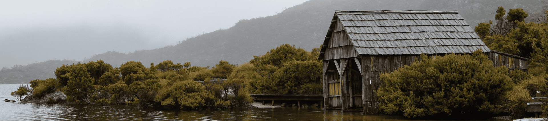 Header Image