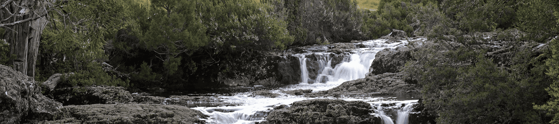 Header Image
