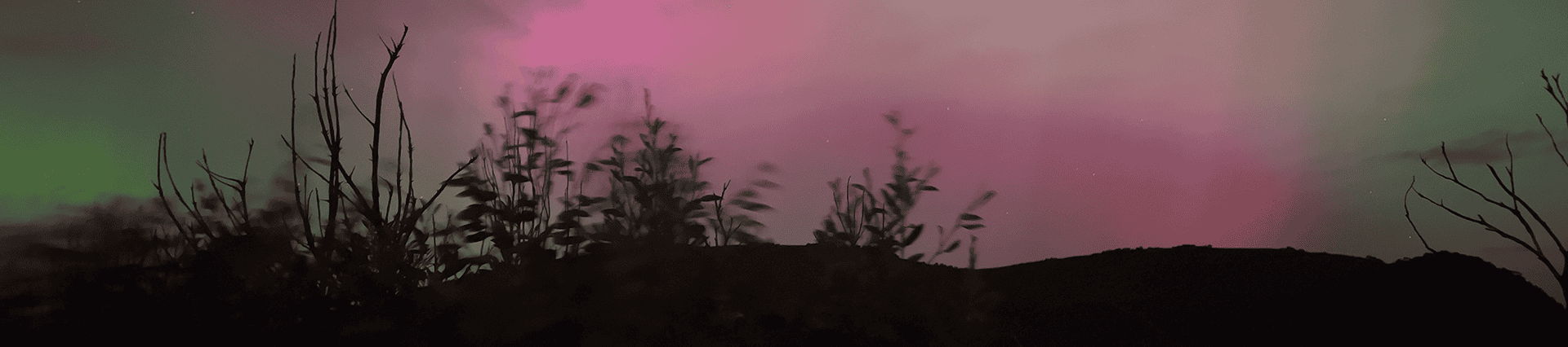 Header Image